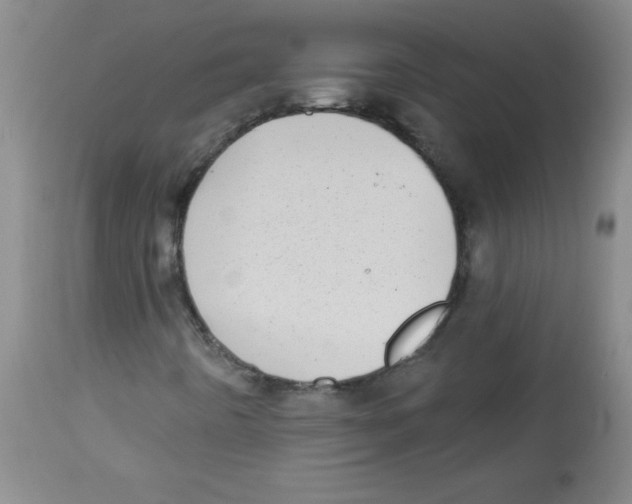 X0000113941442200910231934