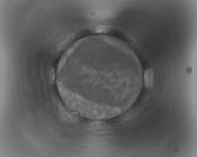 X0000113941443200910231934