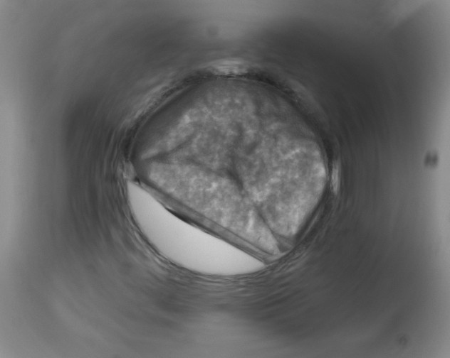 X0000113941444200910231934