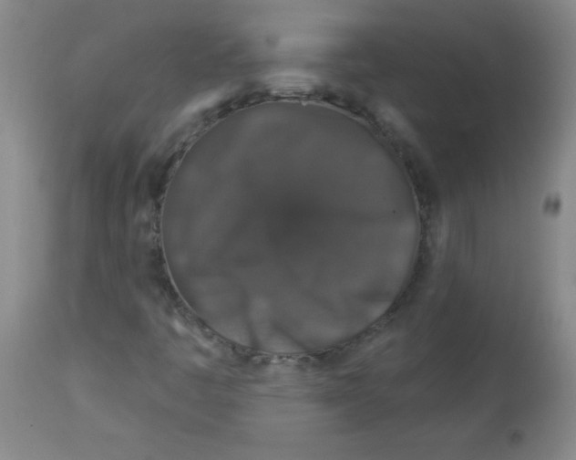 X0000113941445200910231934