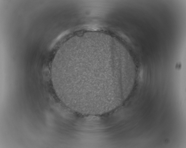 X0000113941446200910231934