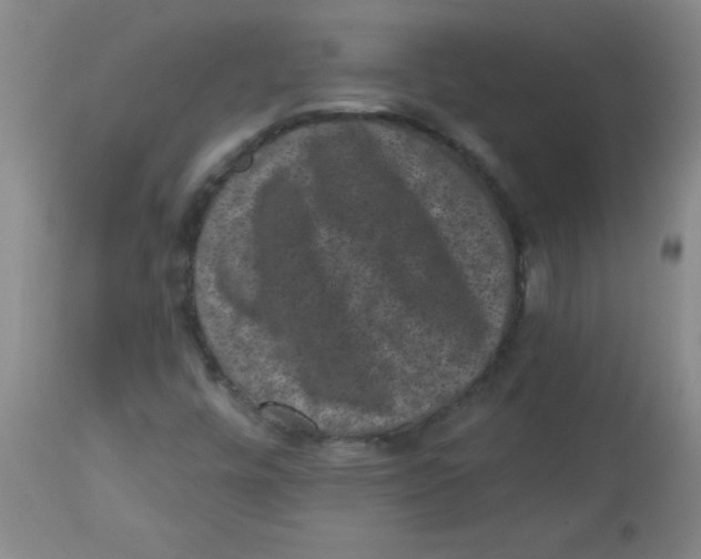 X0000113941448200910231934