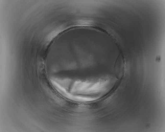 X0000113941449200910231934