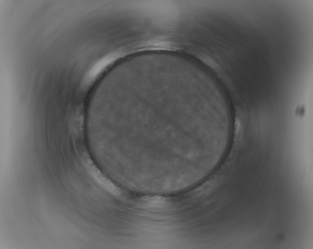 X0000113941450200910231934
