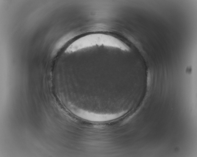 X0000113941453200910231934