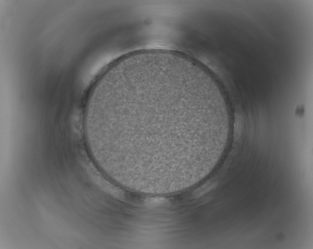 X0000113941454200910231934