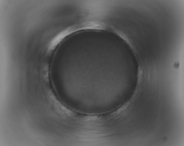 X0000113941455200910231933