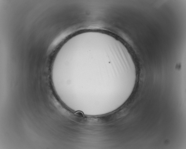X0000113941456200910231933