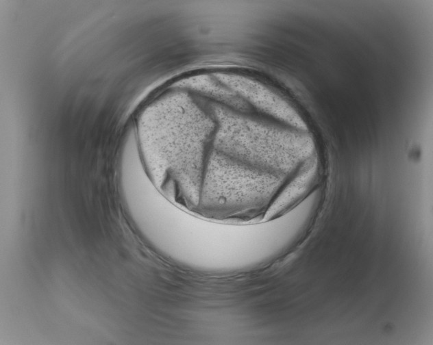 X0000113941457200910231933