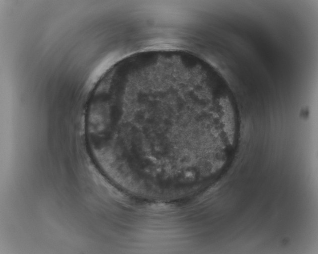 X0000113941459200910231933