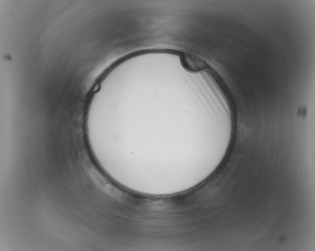 X0000113941460200910231933