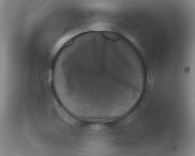 X0000113941461200910231933