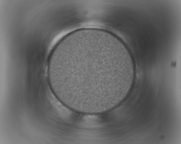 X0000113941462200910231933