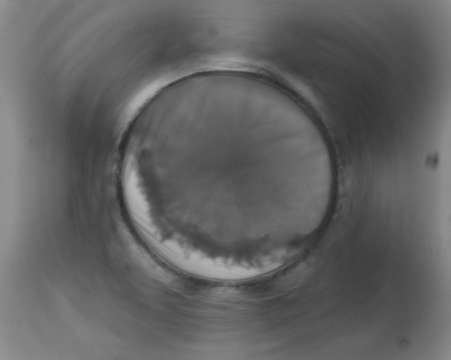 X0000113941463200910231933