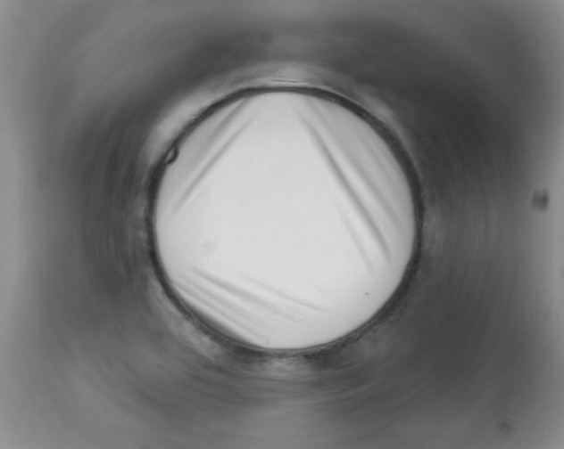 X0000113941464200910231933