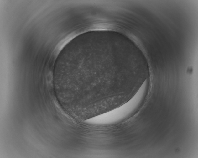 X0000113941465200910231933