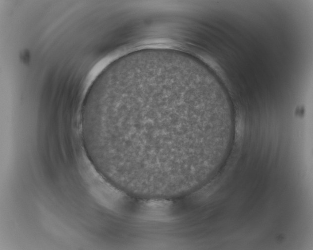X0000113941466200910231933