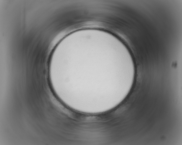 X0000113941467200910231933