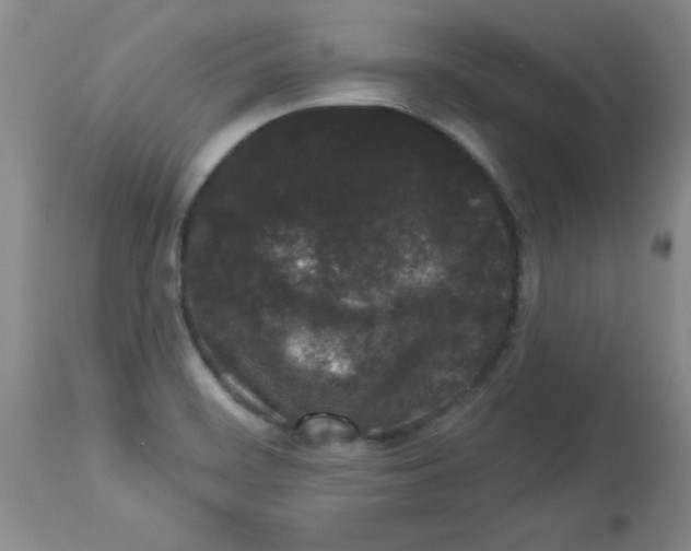 X0000113941468200910231933