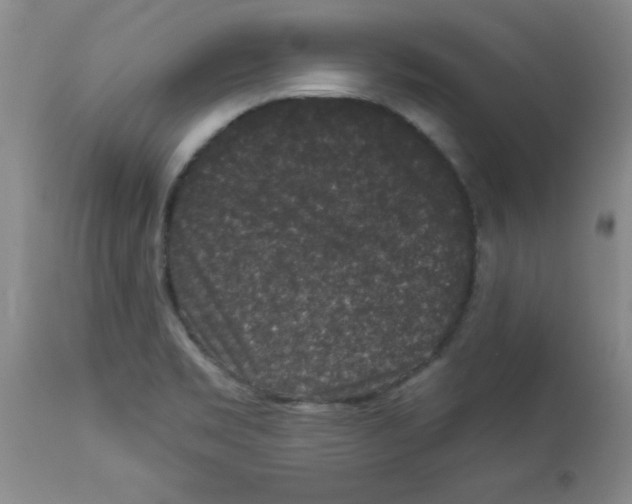 X0000113941469200910231933