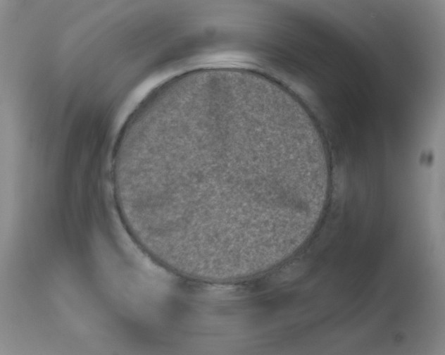 X0000113941470200910231933