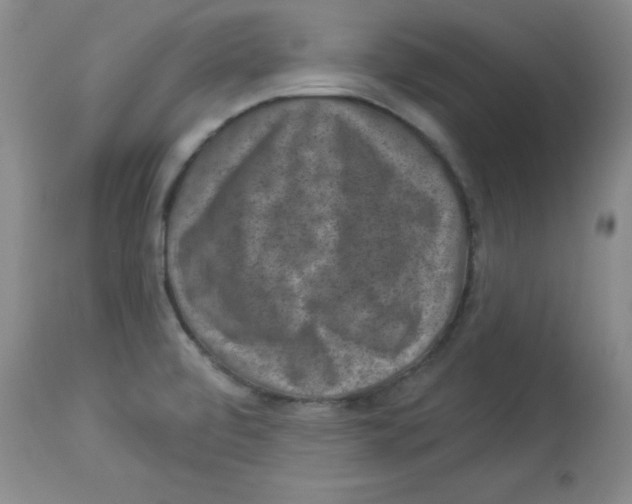X0000113941472200910231933