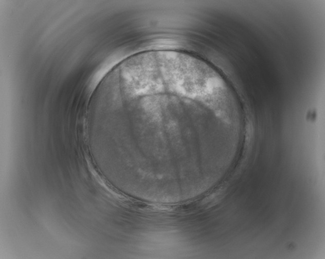 X0000113941473200910231933