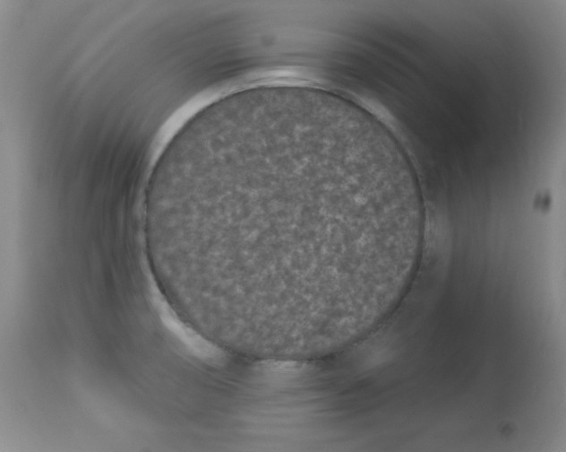 X0000113941474200910231933