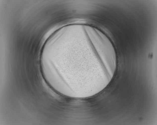 X0000113941475200910231933