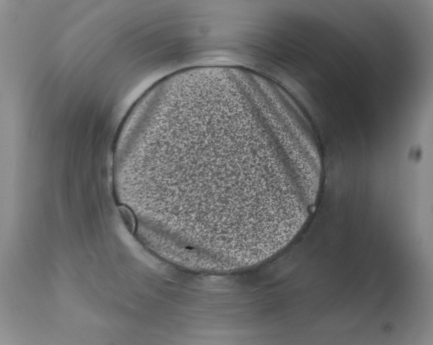 X0000113941476200910231933