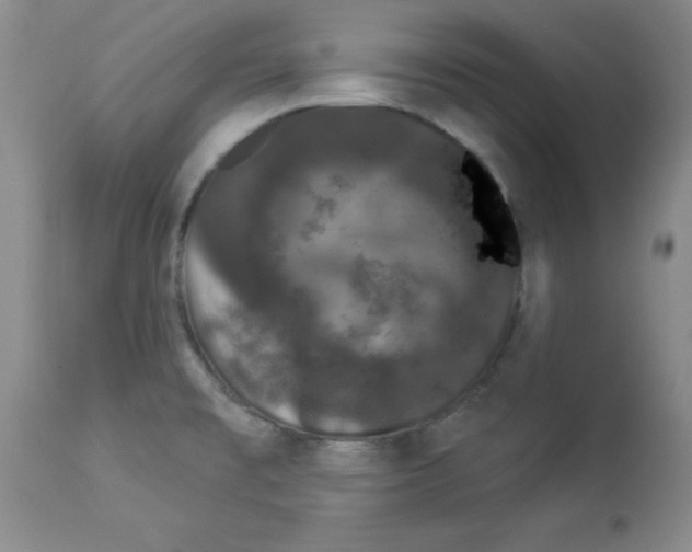 X0000113941477200910231933