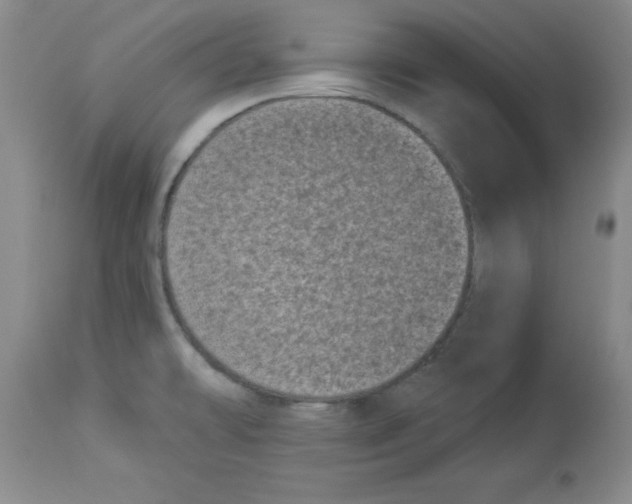 X0000113941478200910231933