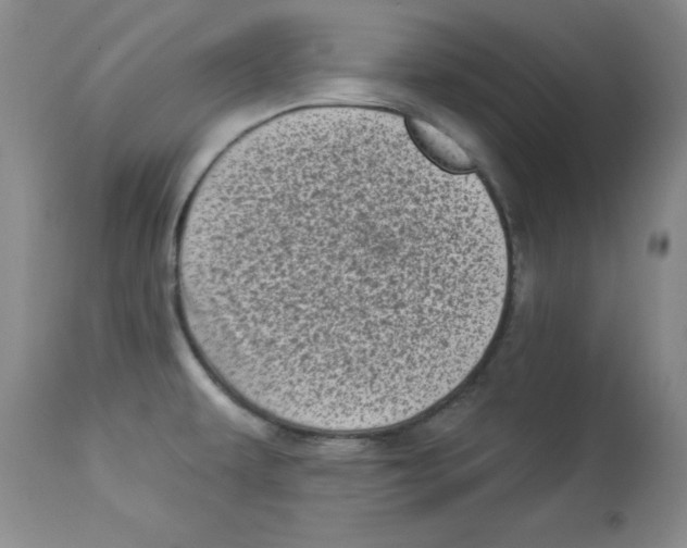 X0000113941479200910231933