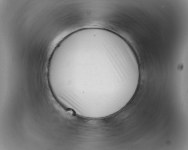 X0000113941480200910231933