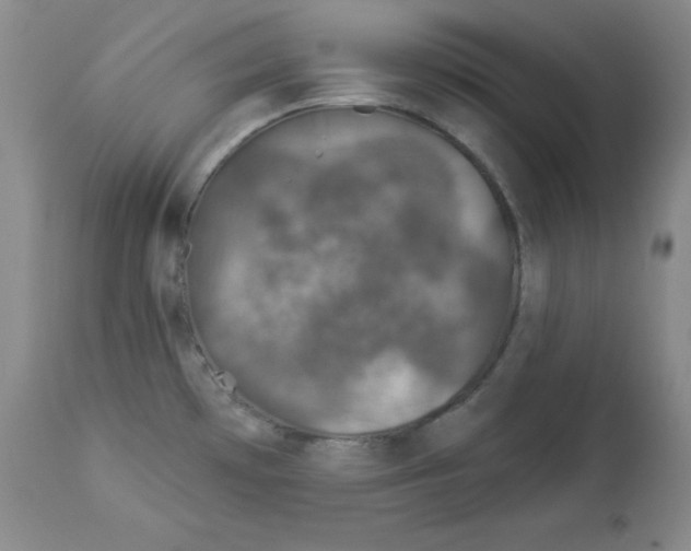 X0000113941481200910231933