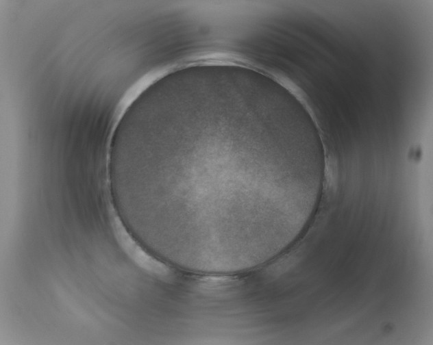 X0000113941482200910231933
