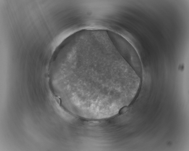 X0000113941485200910231933