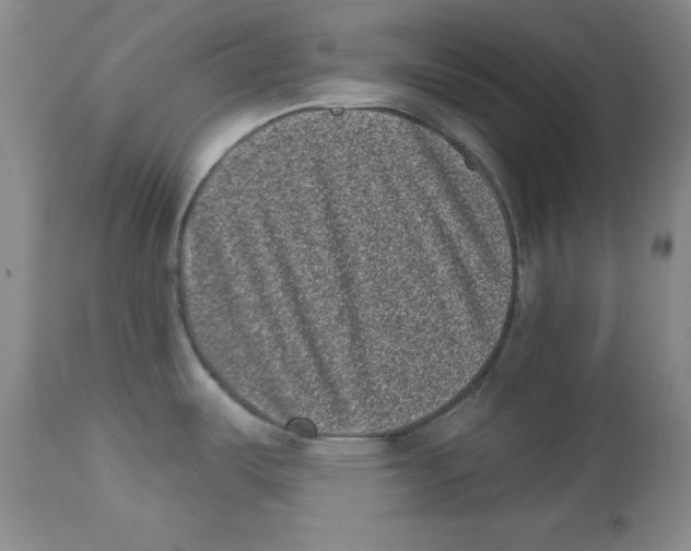X0000113941487200910231933