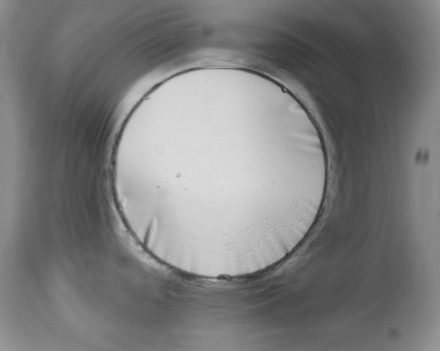X0000113941488200910231933