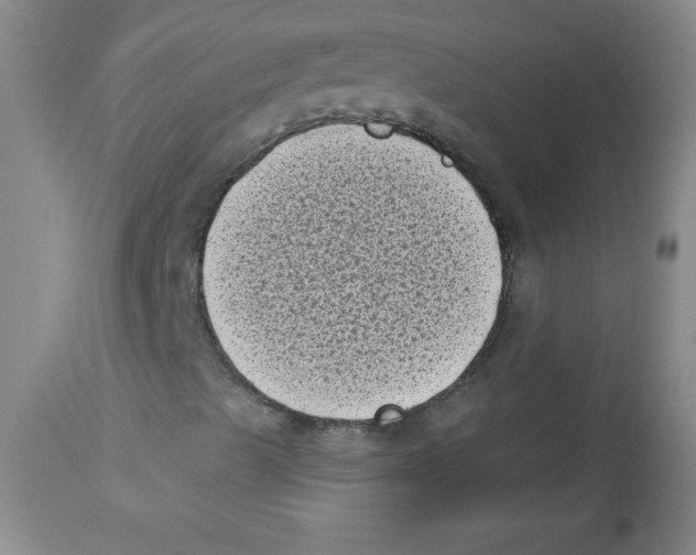 X0000113941489200910231932