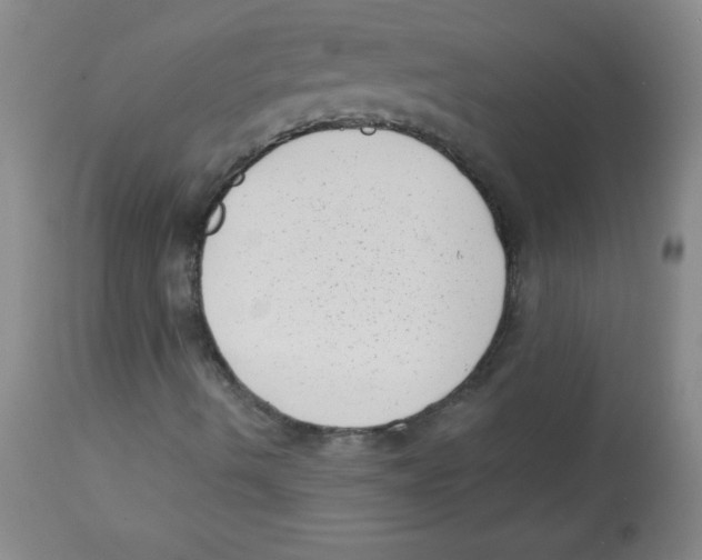 X0000113941490200910231932