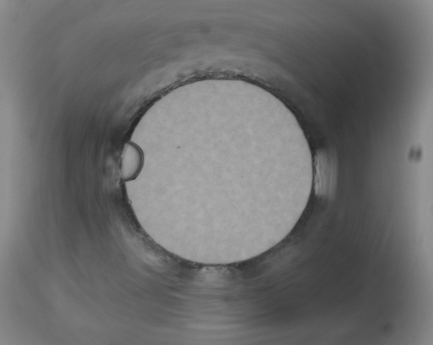 X0000113941491200910231932