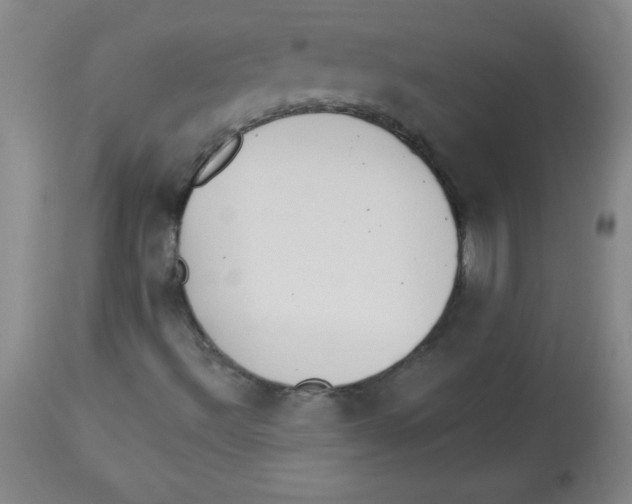X0000113941492200910231932