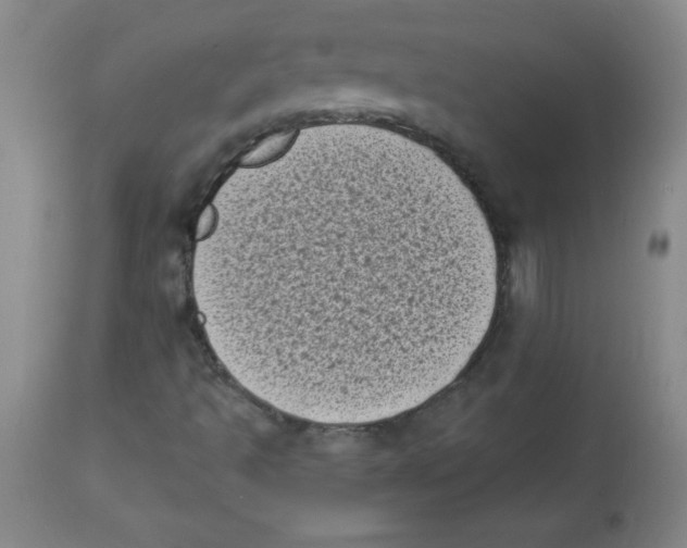 X0000113941493200910231932