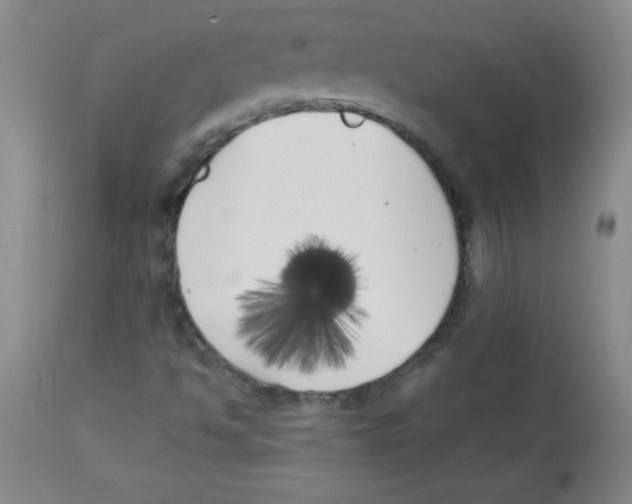 X0000113941494200910231932