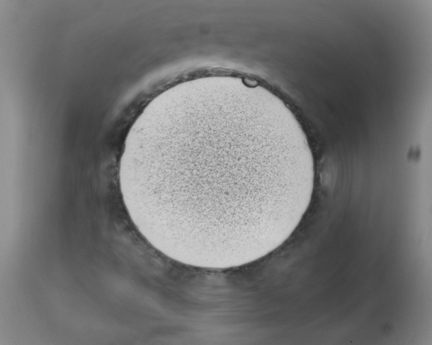 X0000113941495200910231932