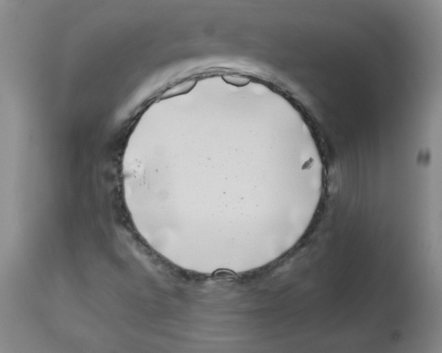 X0000113941496200910231932