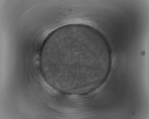 X0000113941497200910231932