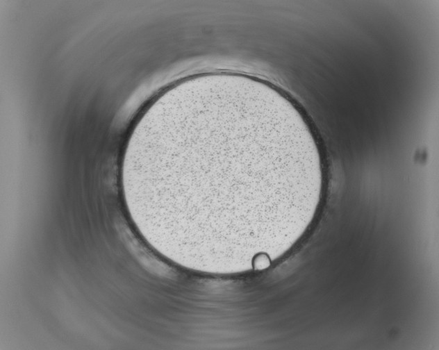 X0000113941499200910231933