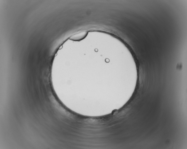 X0000113941500200910231933